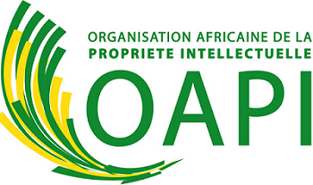 AWARDS DE LA MARQUE OAPI - EDITION 2023, LOME - TOGO